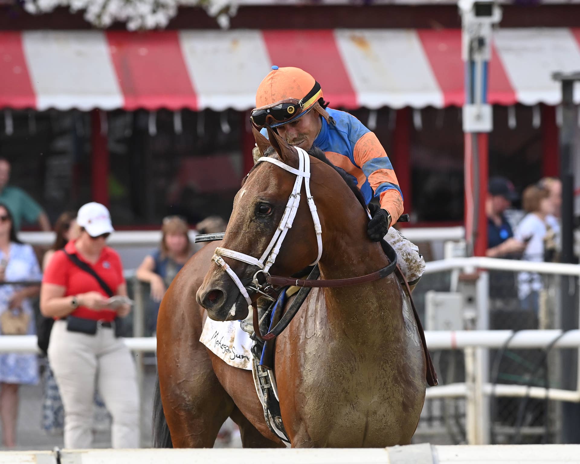 Renegade ‘In Good Order’ After Travers, Next Race Undetermined ...