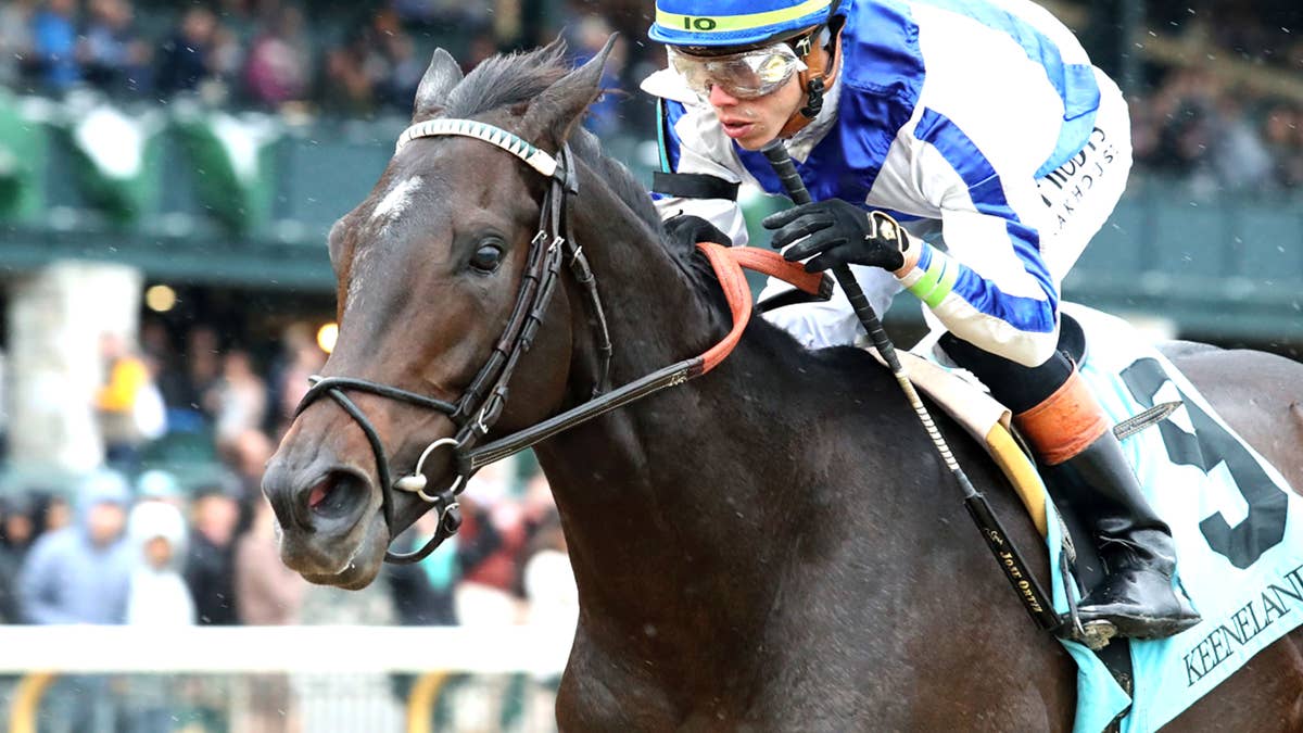 Excite, Son Of Elate, Sold To Race In Venezuela