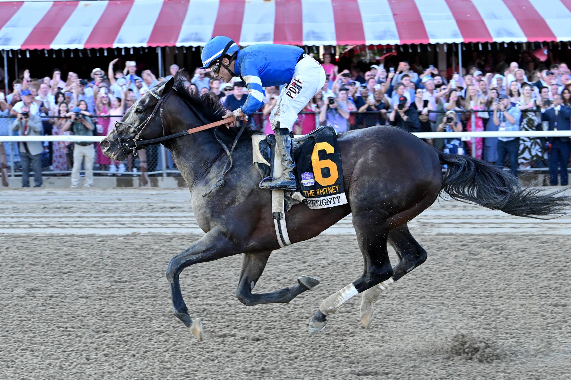 XBTV Introduces 2021 Breeders' Cup Video Portal - Paulick Report