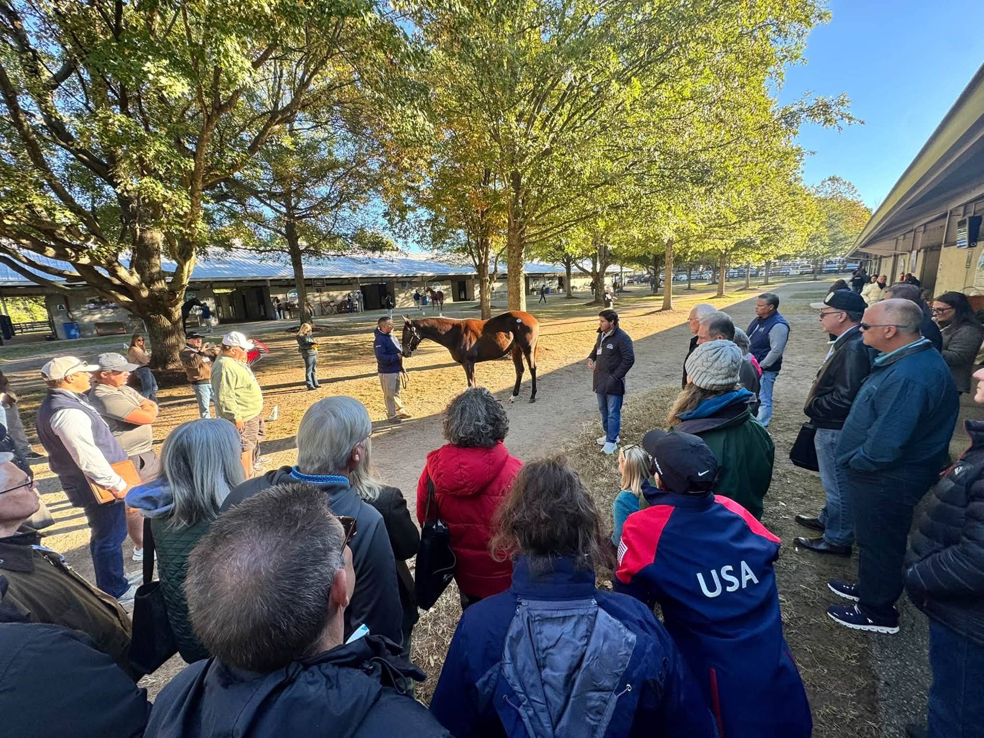 TOBA Pedigree And Conformation Clinic Draws Sold-Out Crowd At Fasig ...