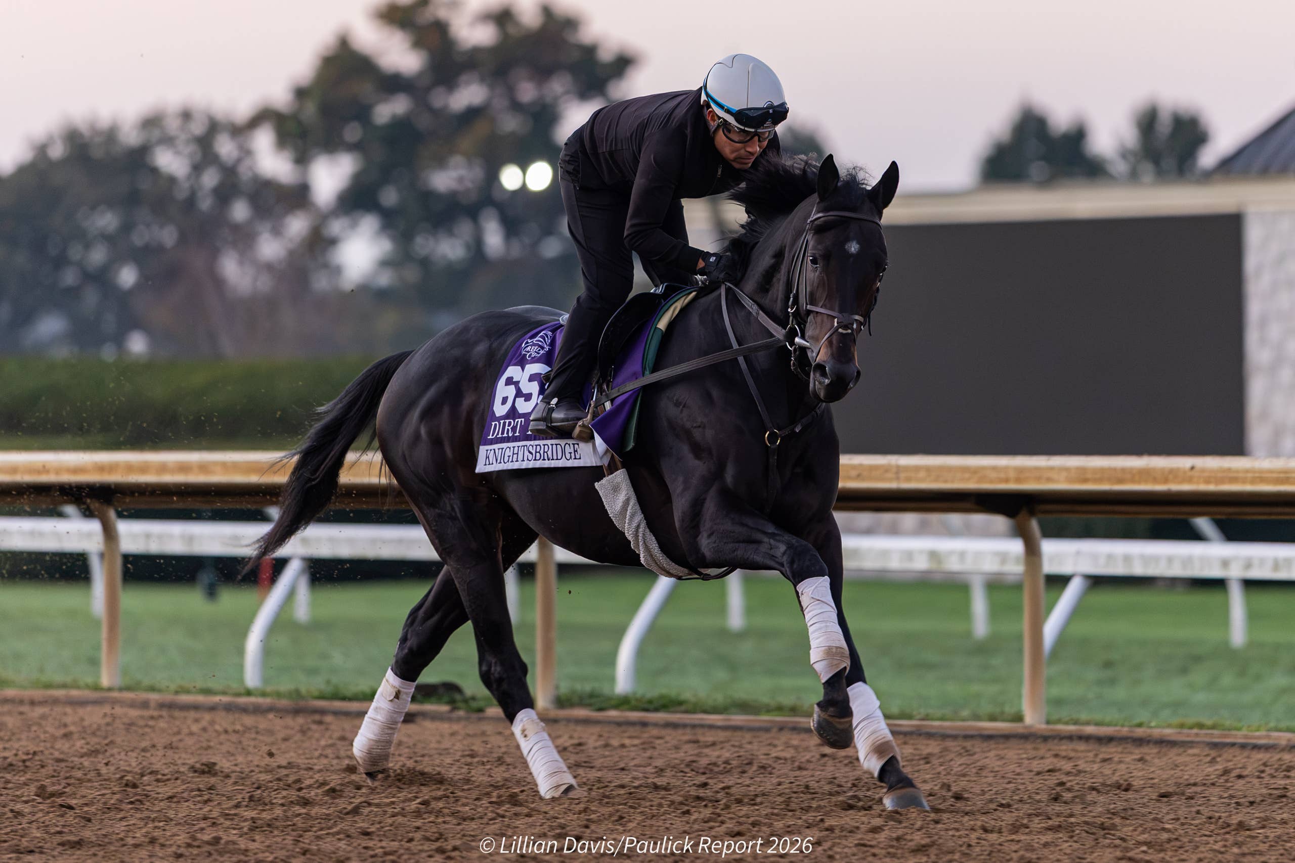 Breeders’ Cup Hopefuls Sovereignty, Knightsbridge Take First Spin ...