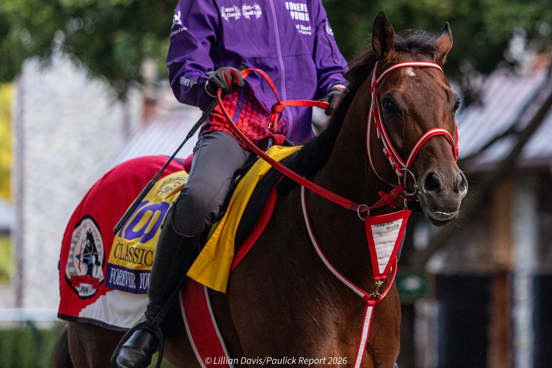 43,700 Miles To Race: Forever Young’s Extraordinary Road To The ...