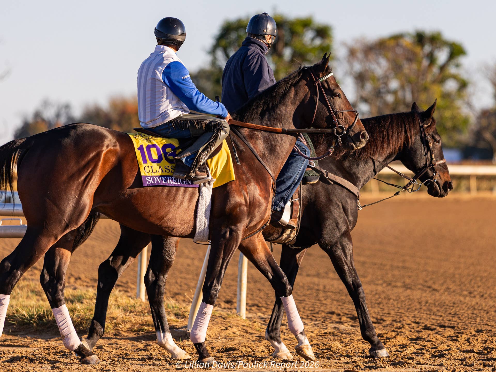 Monday Case Notes Sovereignty Ready To Make Classic Case - Paulick Report