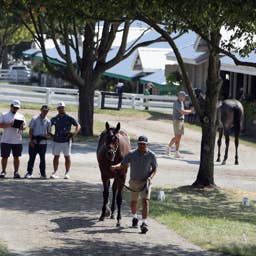 Record Gross Achieved At 2026 Keeneland September Sale