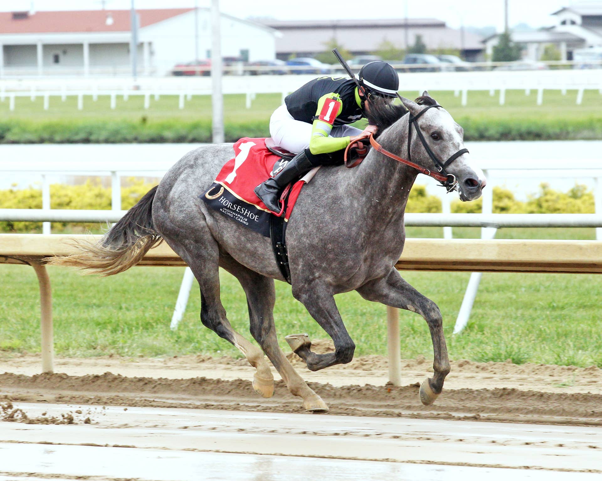 Gentildonna Surges to Victory in Dubai Sheema Classic - Paulick Report