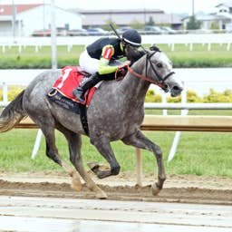Jockey Club Changes Horse Name After Receiving Complaint That It Was Offensive