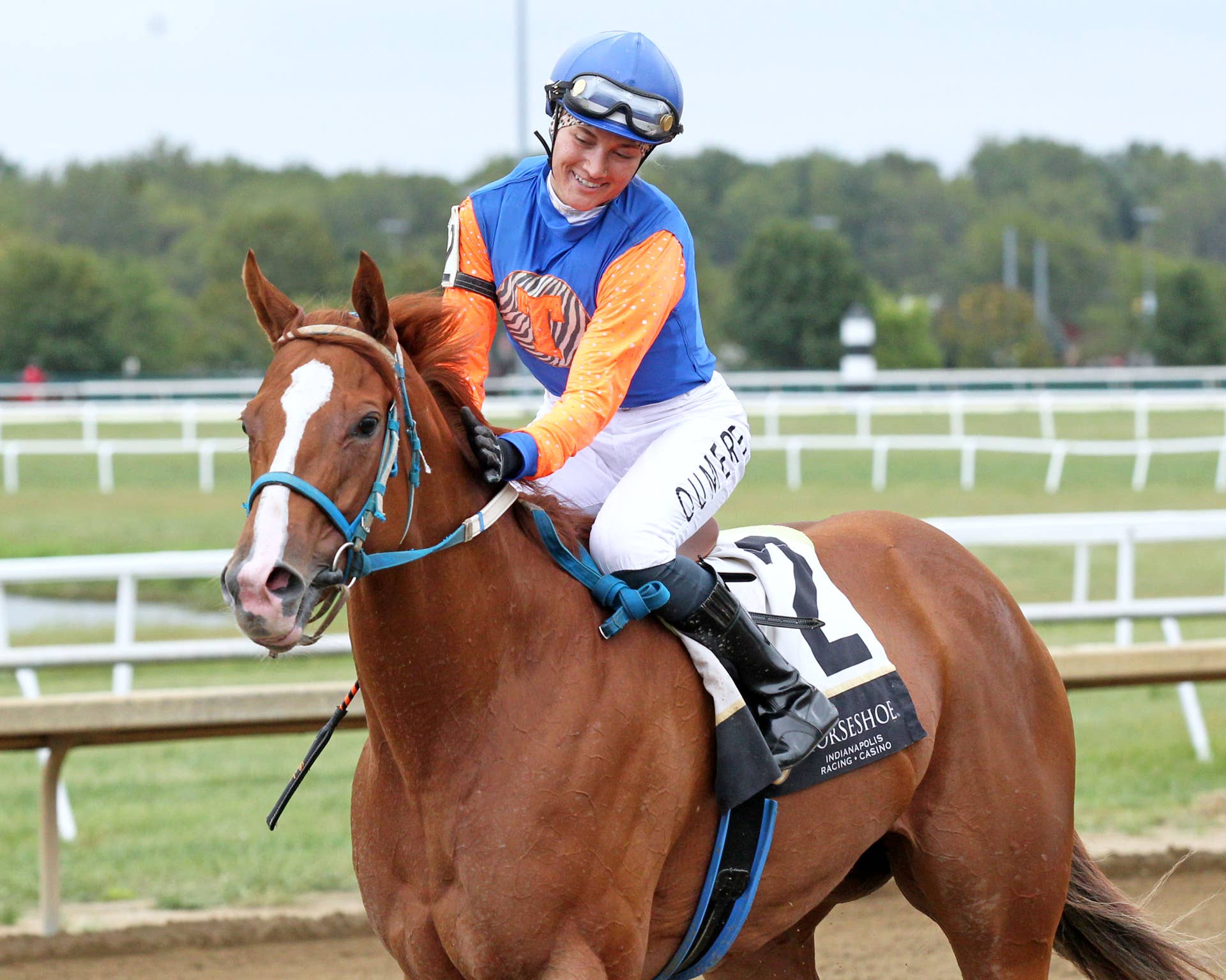 Gentildonna Surges to Victory in Dubai Sheema Classic - Paulick Report
