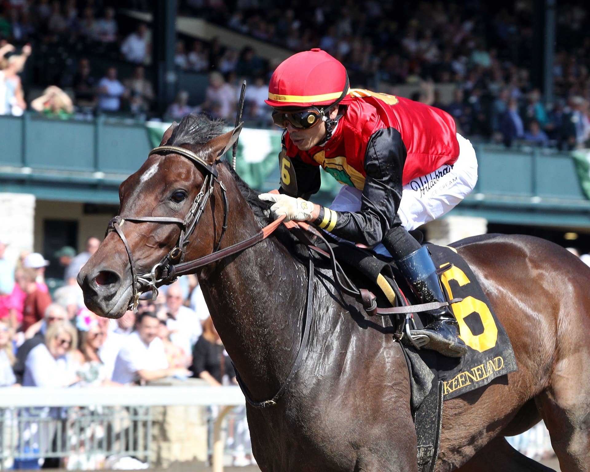 Evanescence Puts Unbeaten Keeneland Mark On The Line In Thoroughbred ...