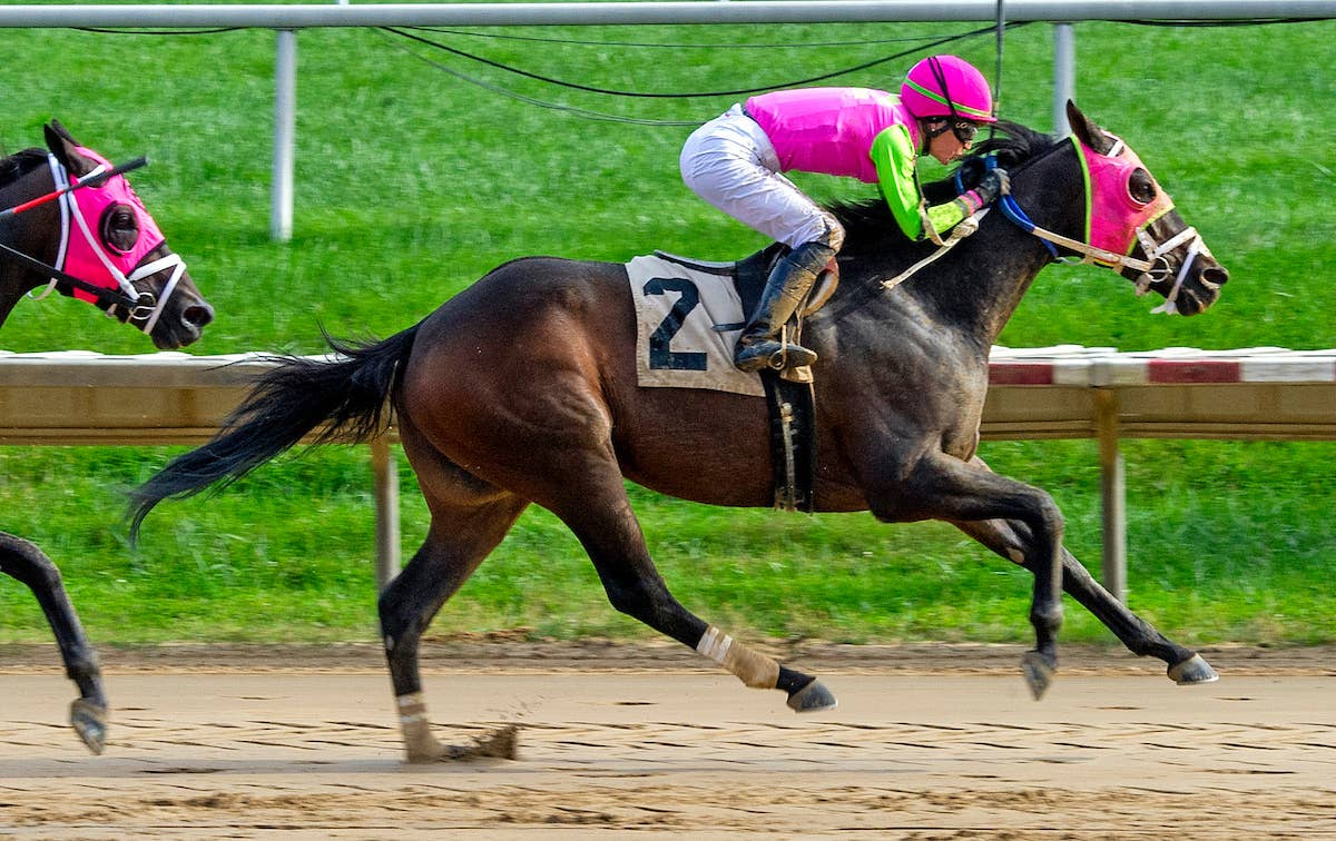 Barbadian Runner Among Eight For Maryland Million Classic - Paulick Report