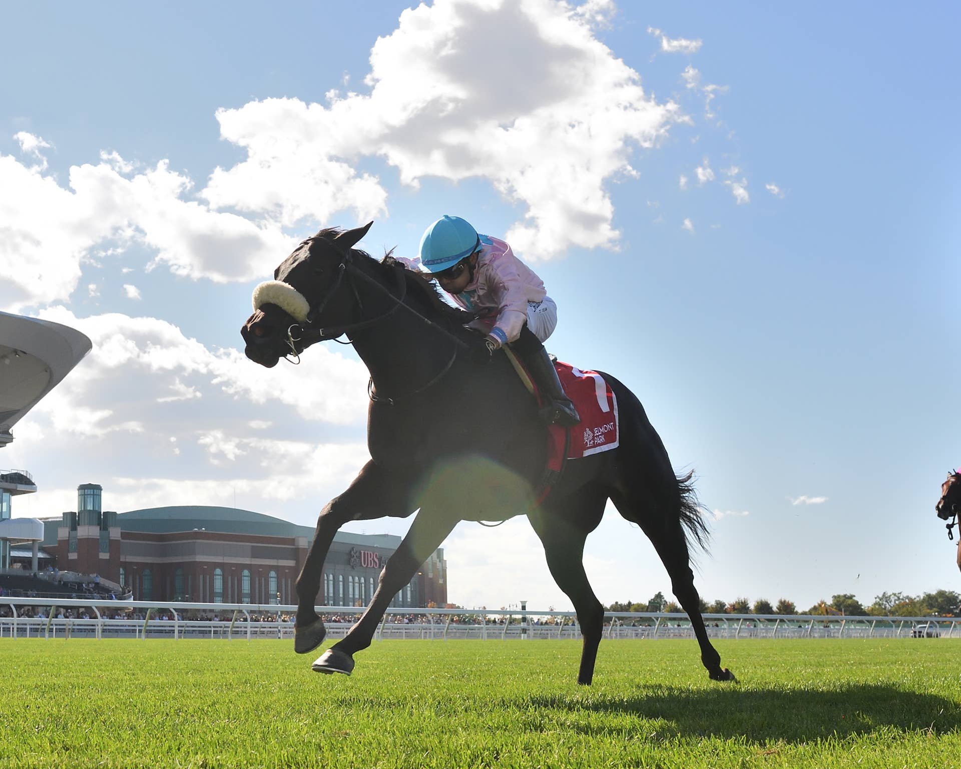 Matron ‘Struck By Lightning’: $8,000 Mare Produces Remarkable Graded Stakes ...