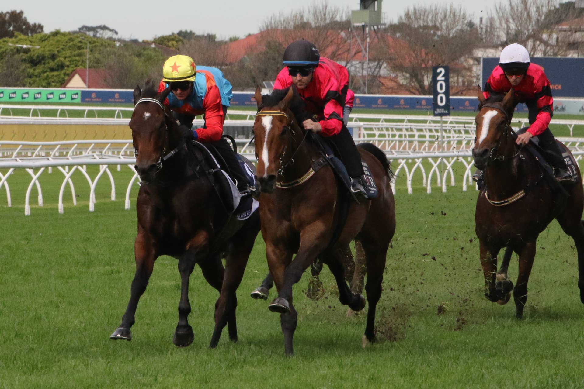 Gentildonna Surges to Victory in Dubai Sheema Classic - Paulick Report
