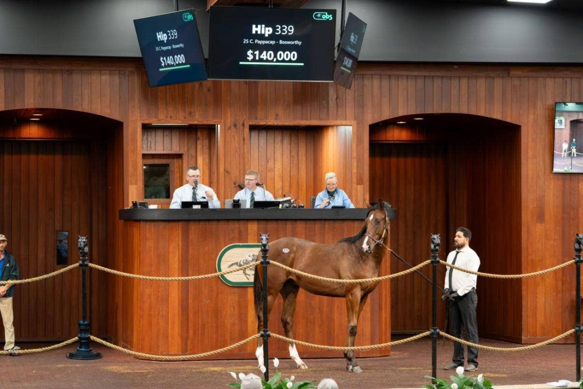 OBS October Yearling Sale Concludes With Gains In Average, Median