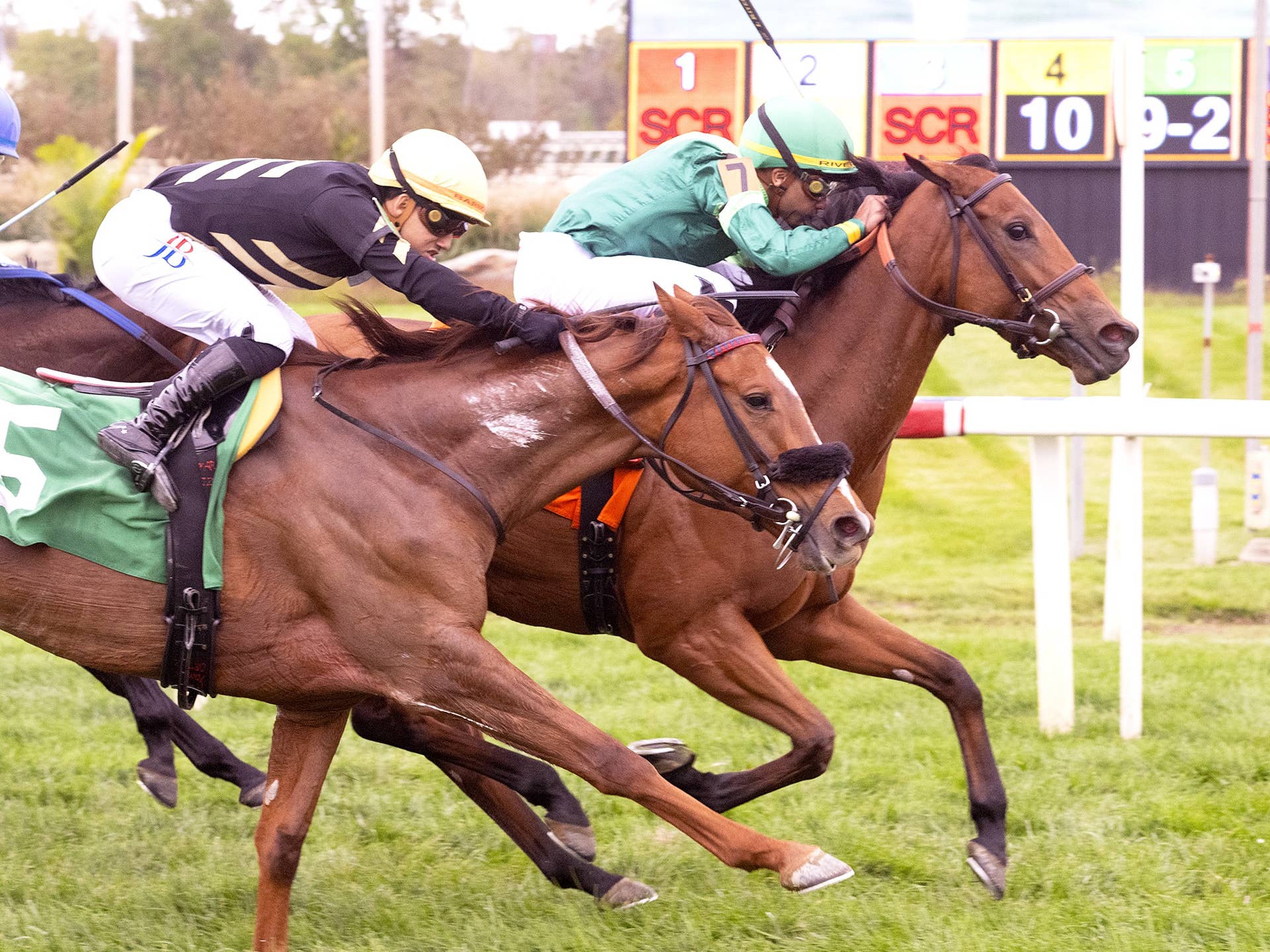 Classy' Turf Sprinter Doncho Captures William Garrett Handicap