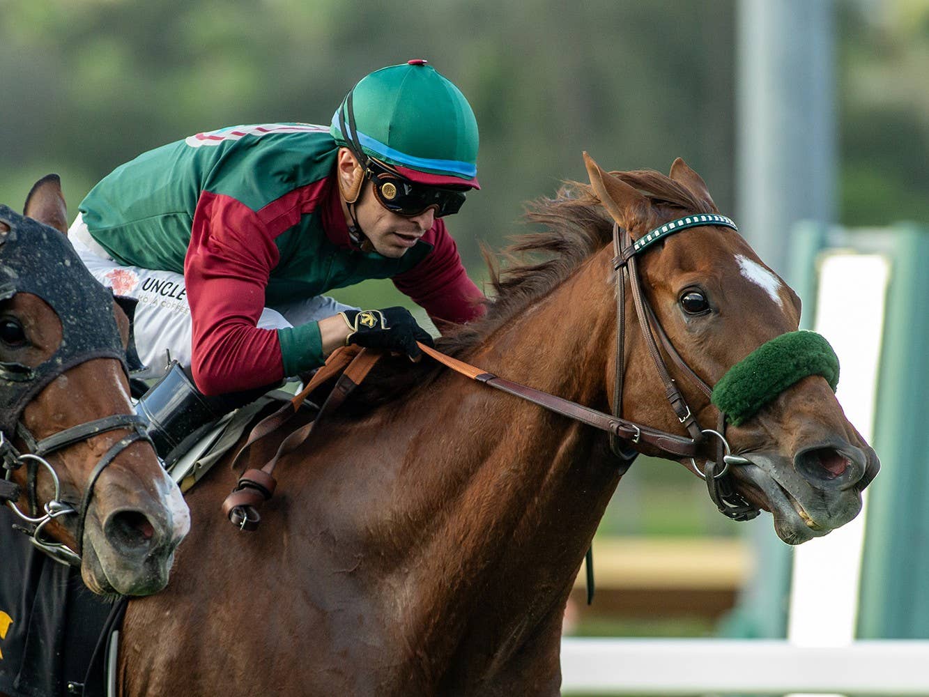 Grand Slam Smile Breaks Million-Dollar Earnings Mark In California ...