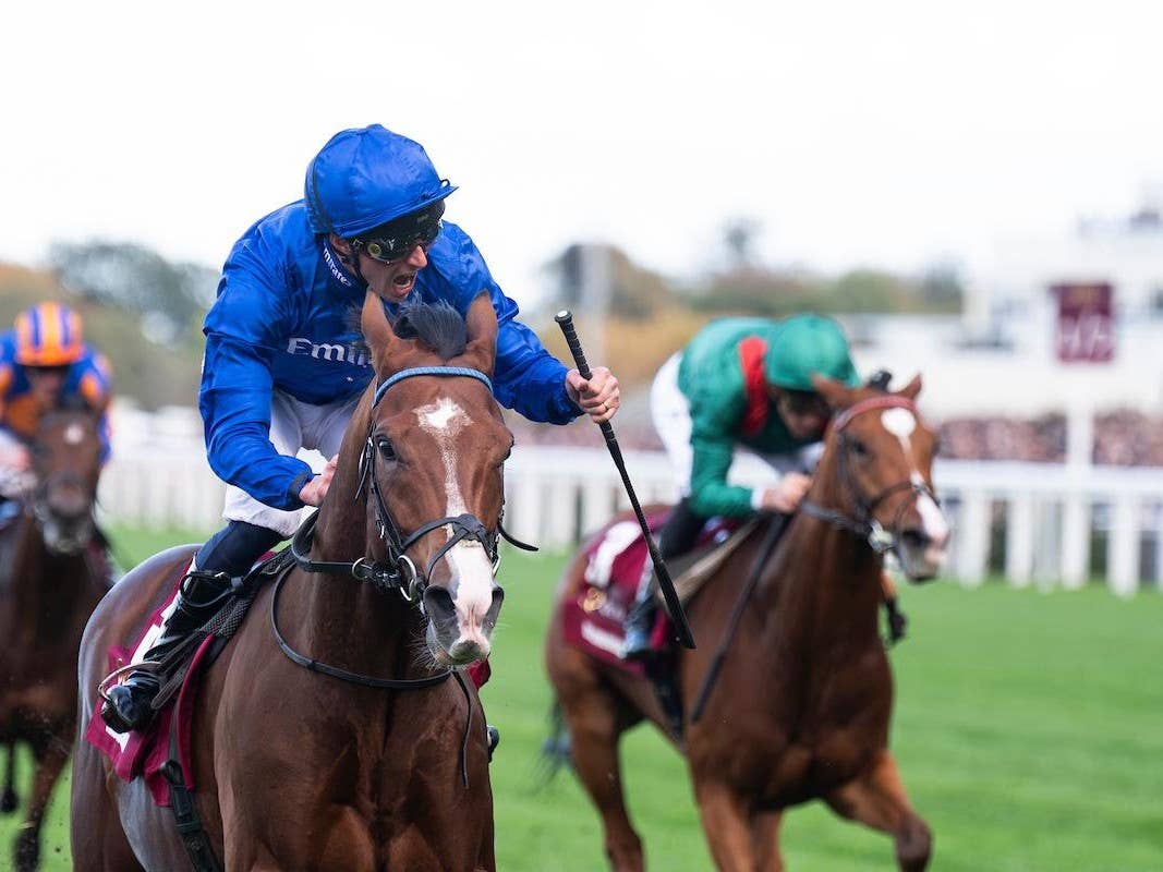 Ombudsman Taken Out Of Breeders’ Cup Turf Consideration, Possible For ...