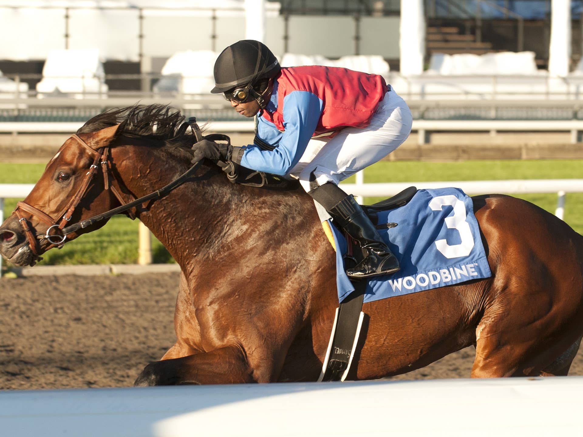Fire And Wine Gate-To-Wire Winner In Ontario Derby - Paulick Report