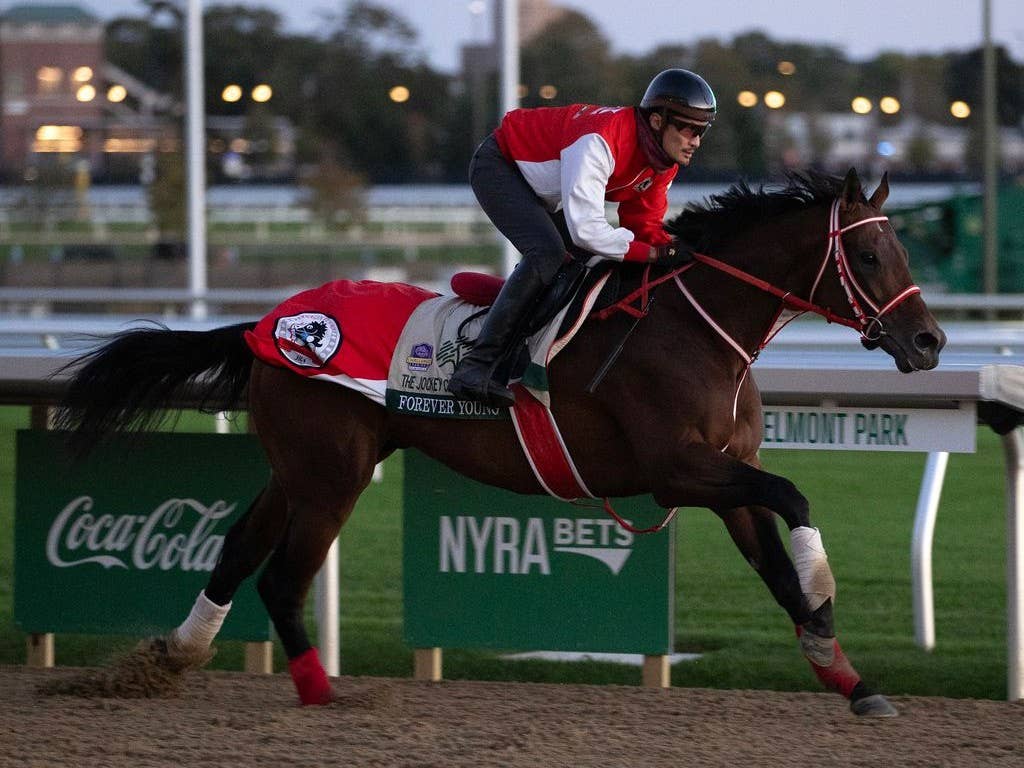 NTRA Poll: Sovereignty, Forever Young Tied For First - Paulick Report