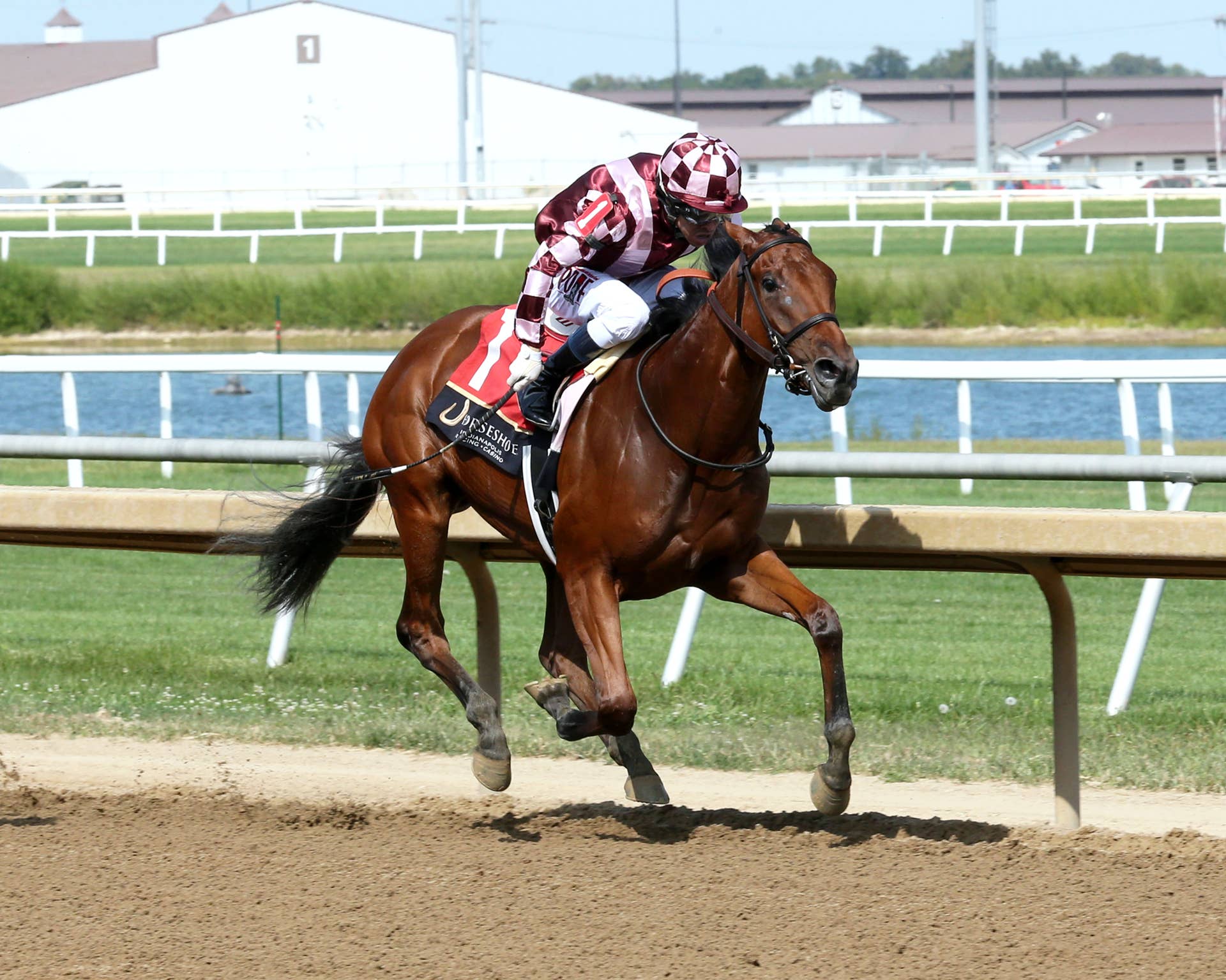 Can Microshares Lead To Major Success For Indiana Thoroughbred Industry?