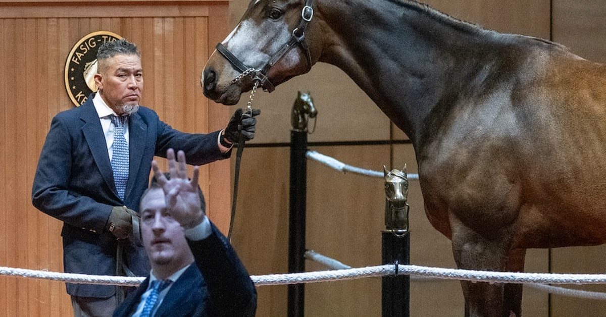 Home Cooking Tops Opening Session Of FasigTipton Kentucky Winter Mixed