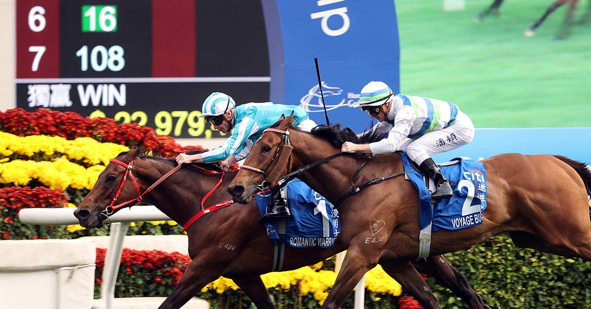 Romantic Warrior Prevails In Epic Renewal Of Hong Kong Gold Cup ...