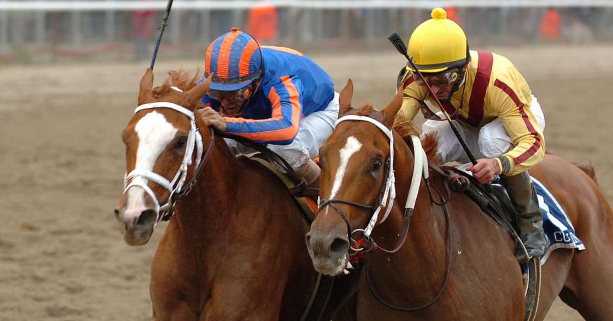 Foundation Builders The SevenFigure Sale Before The EightFigure Sale