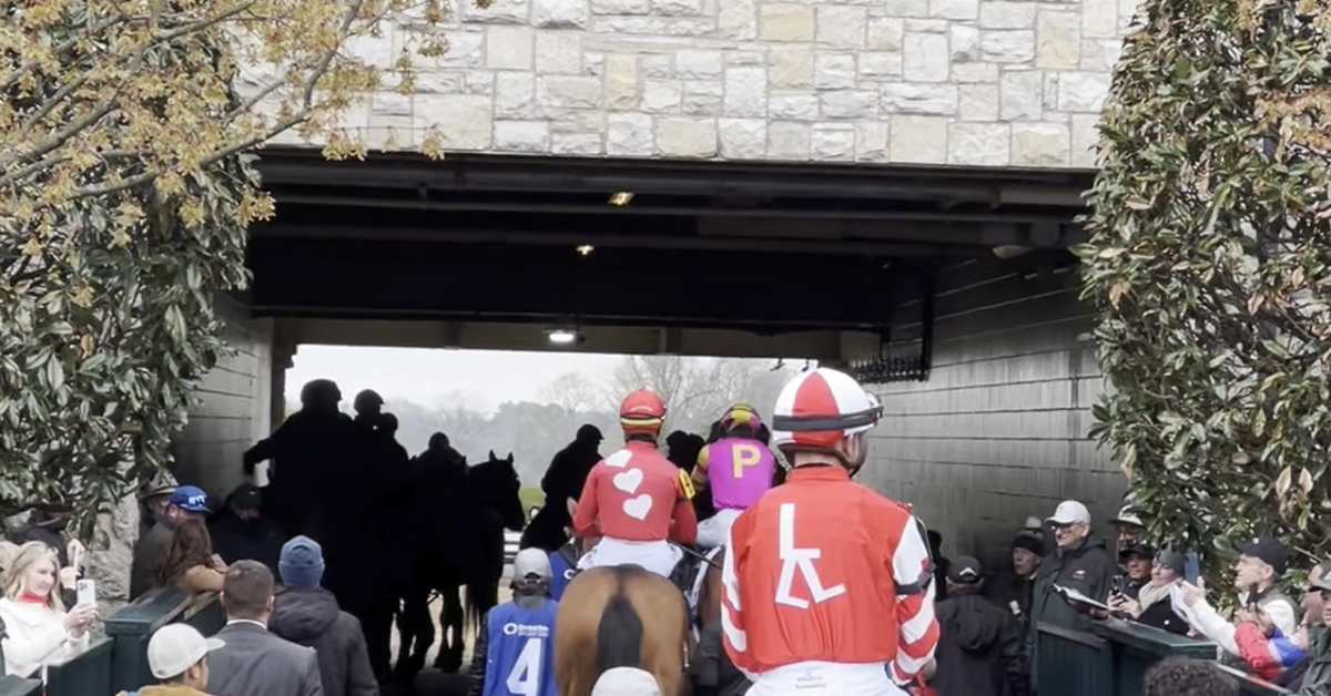 VIDEO: Leslie's Rose Wins The Ashland Stakes; Interviews With Todd ...