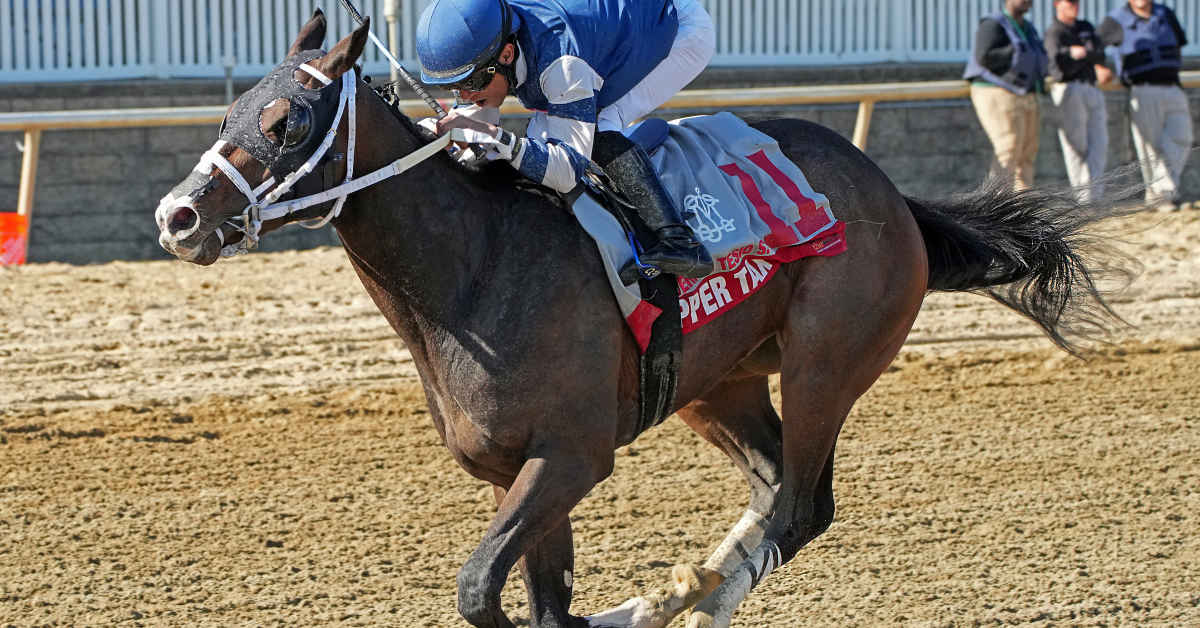 Copper Tax Collars Front-Running Speedyness For Federico Tesio Triumph ...