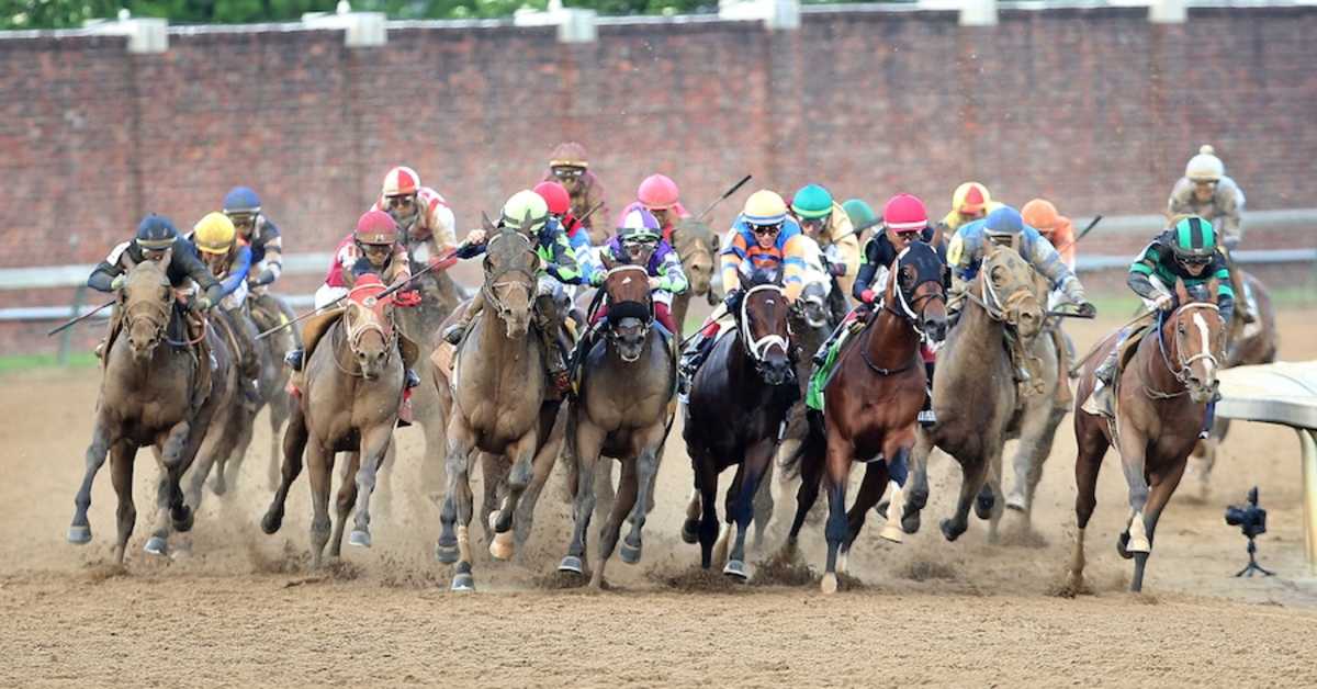 Explanations And Excuses: 2024 Kentucky Derby Trainers React In Race ...