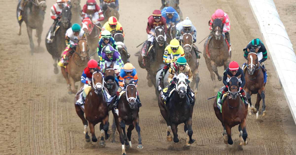 View From The Eighth Pole Who Will Win The Preakness? Paulick Report Latest news and