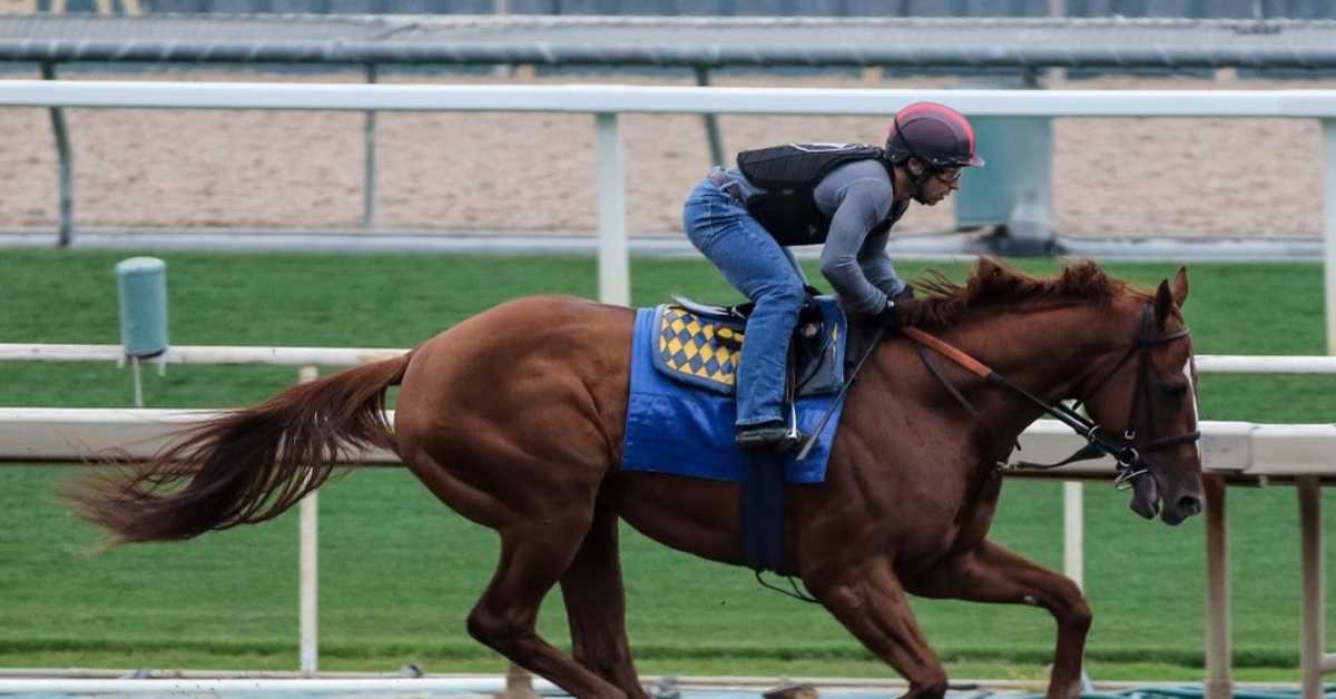 Champion Stellar Wind's Son By Justify Will Make First Start Saturday ...