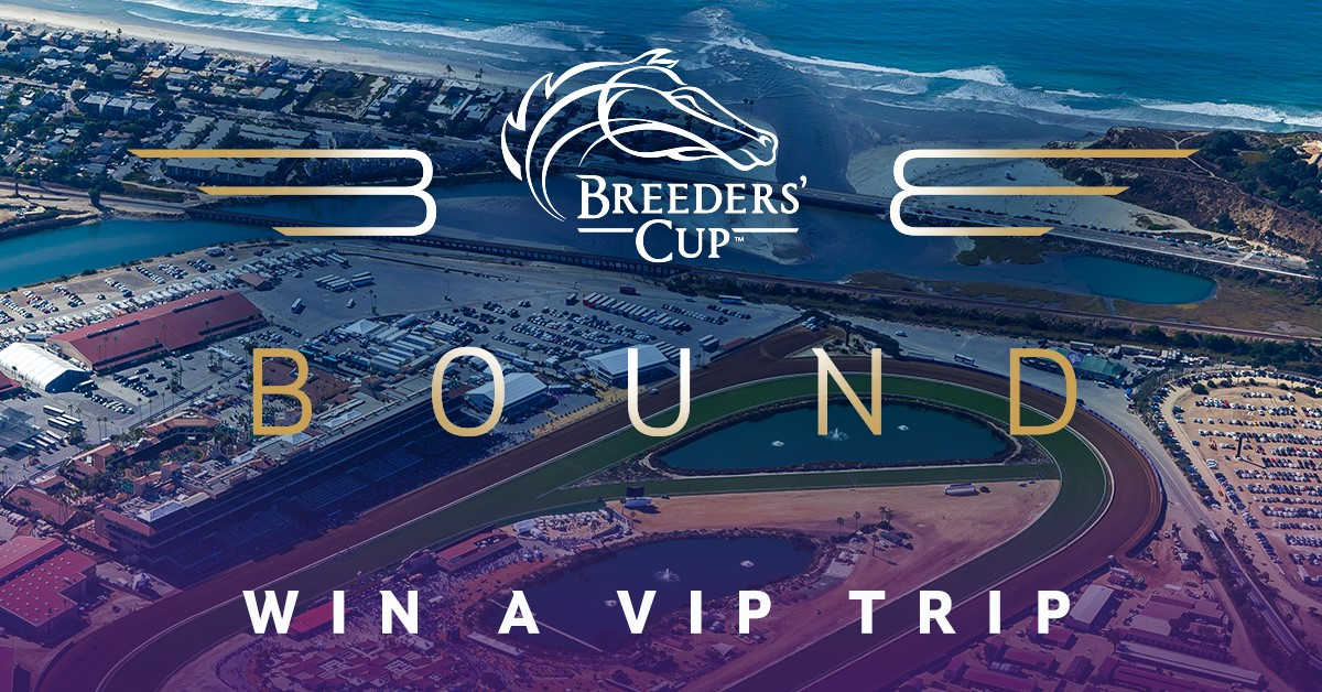 'Breeders' Cup Bound' Free Chance To Win VIP Experience Paulick