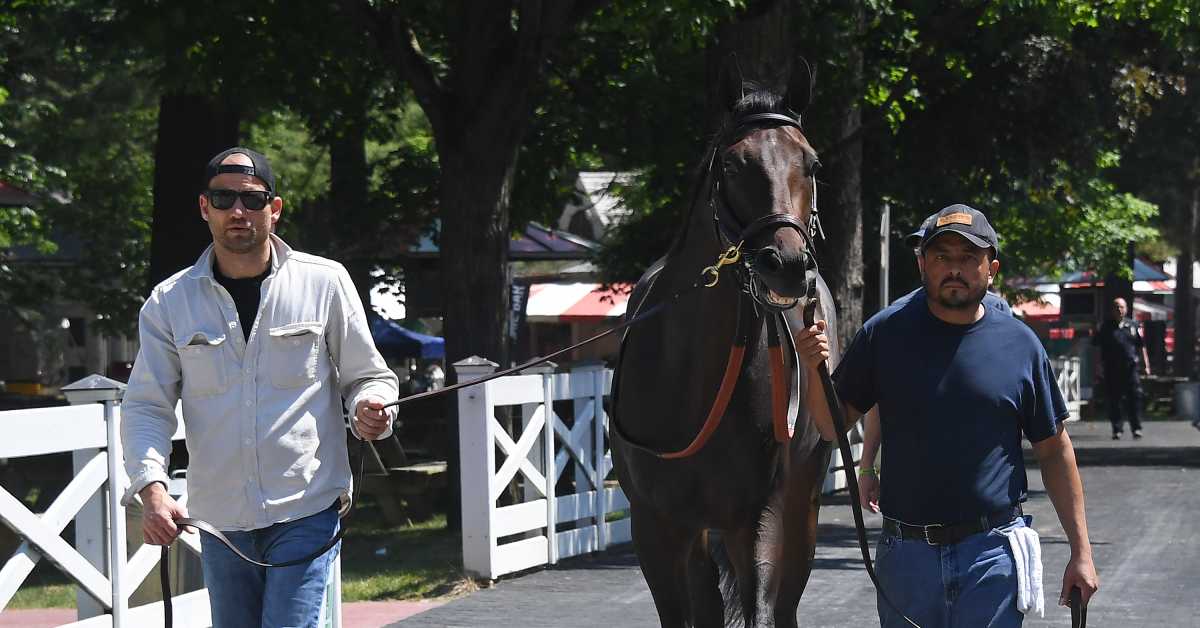 VIDEO Trainer Whit Beckman Discusses 'Automatic' Honor Marie Ahead Of