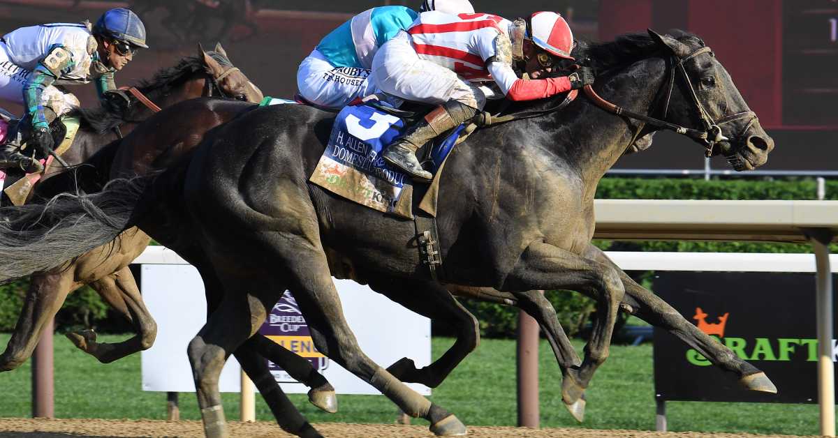 Domestic Product To Retire To Coolmore America In 2025 Paulick Report