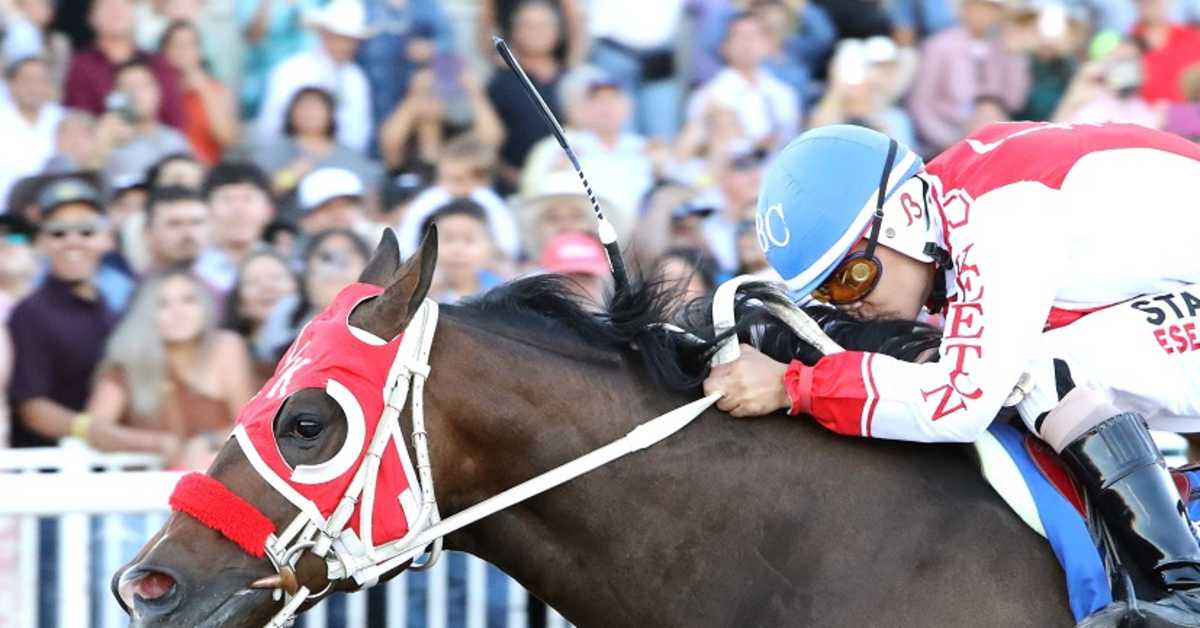 Hezgothelook Z First Winner Of Quarter Horse Triple Crown Since