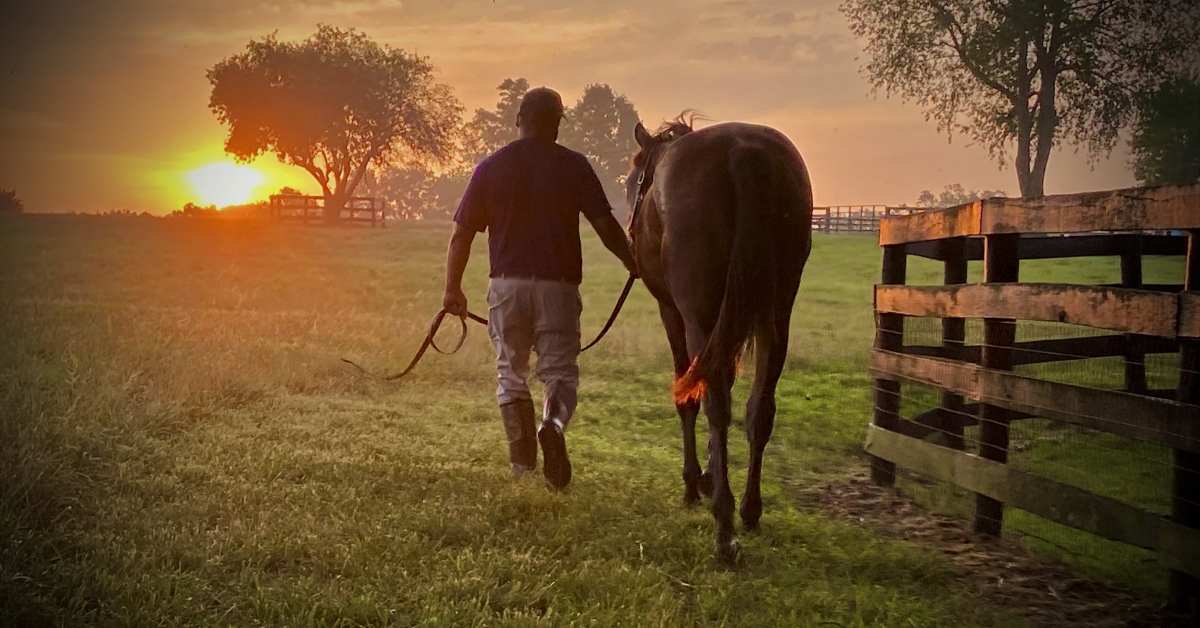 OTTB Training Toolkit Presented By Doc Lane's Pharmacy The Rule Of