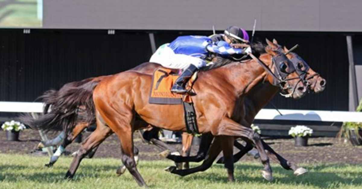 Fort Washington Goes For Second Graded Score In Knickerbocker Paulick