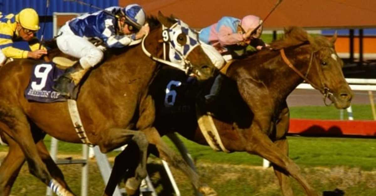 California Crown's Roots From Glorious Goodwood To The Great Race