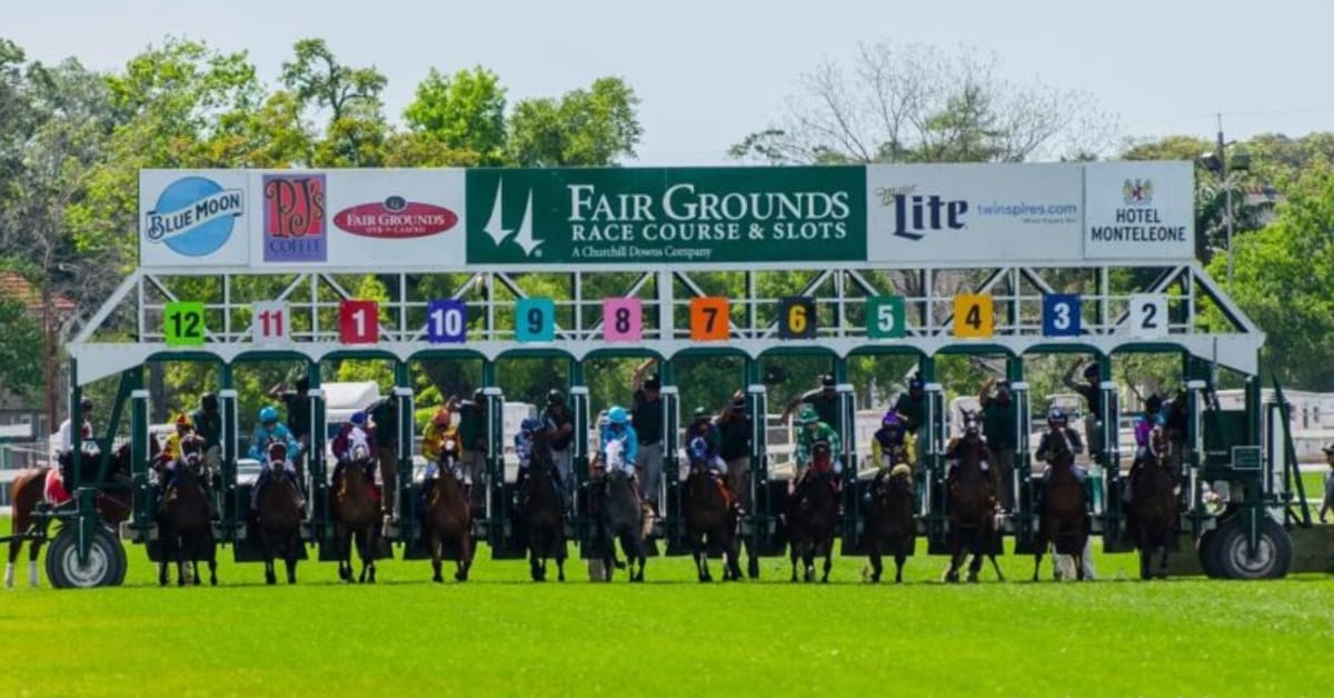 Consistent Strong Quality Faces 11 Turf Specialists In Fair Grounds