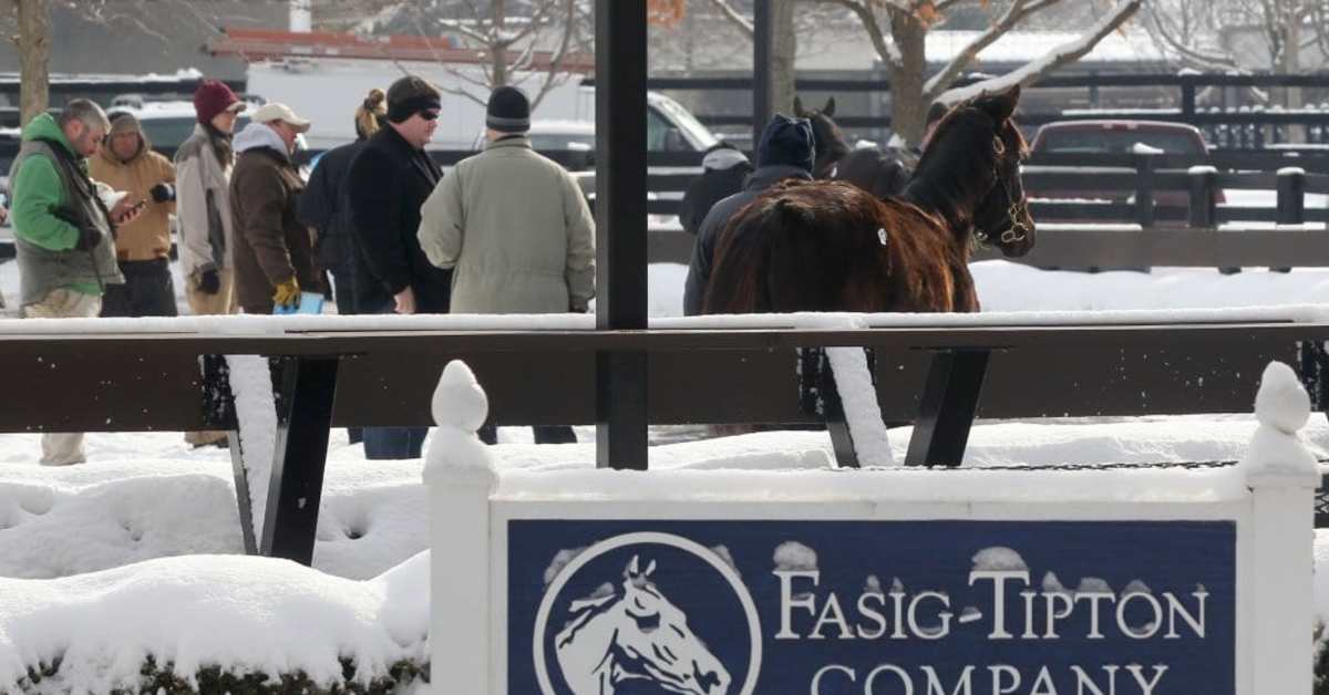 FasigTipton Kentucky Winter Mixed Sale Catalog Now Online Paulick