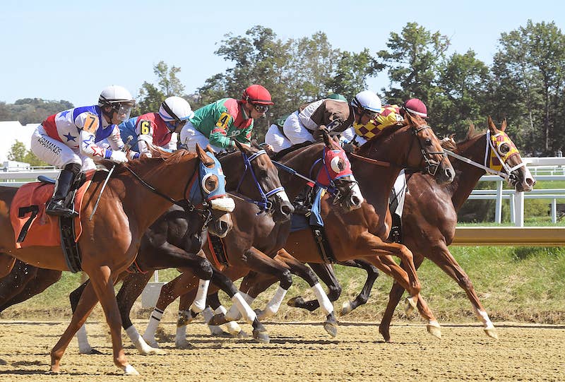 The Maryland Jockey Club Reports Handle Increase In 2025, Releases ...