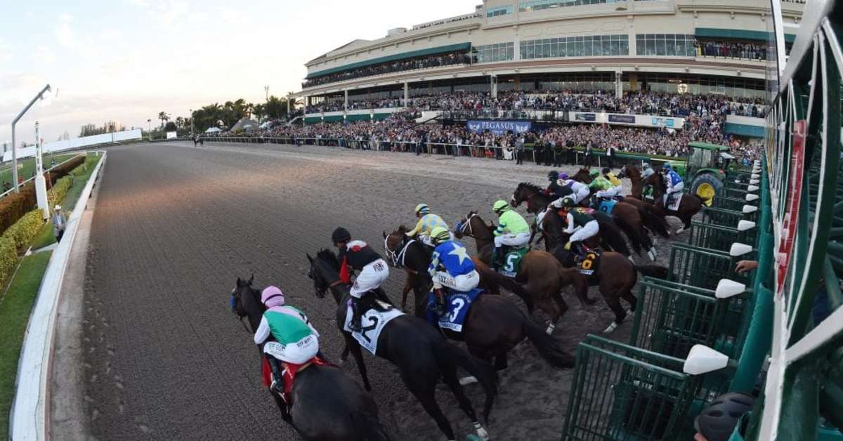 Gulfstream's First Race Saturday Declared 'No Contest' After Emergency ...