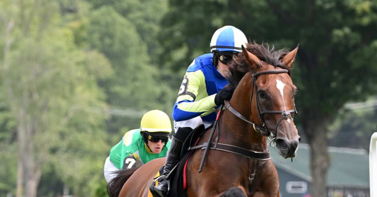 Steeplechase Grand National Draws Two Former Winners, International Cast Paulick Report