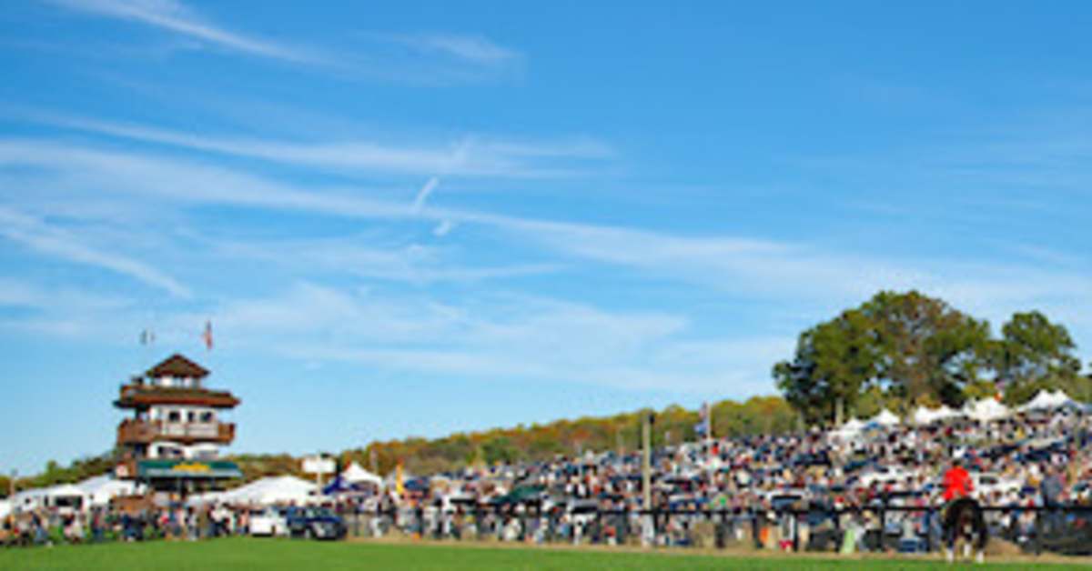 Snap Decision Wins American Grand National In Fourth Attempt Paulick Report Shining Light on