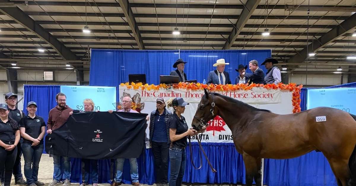 CTHS Alberta 2024 Thoroughbred Sale Catalog Now Online Paulick Report