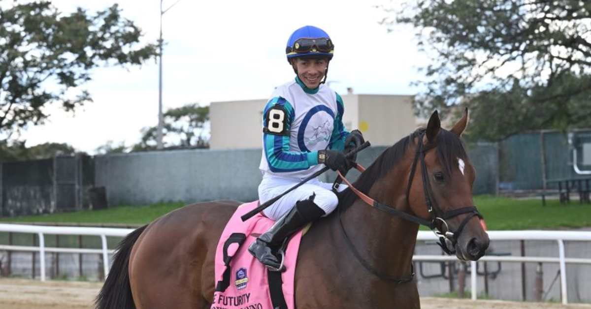 Book'em Danno Takes On 12Horse Woody Stephens Off ThreeMonth Layoff