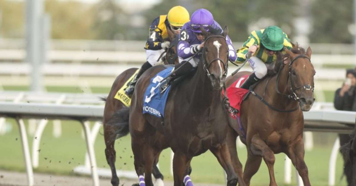 Equibase Analysis Artie's Storm Leads Full Autumn Stakes Field