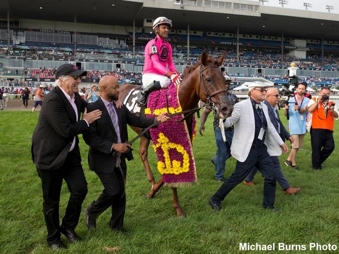 Thoroughbred Breeders Reinvesting In Ontario With Proceeds From Awards ...