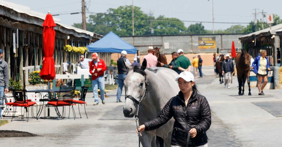 Fasig-Tipton 2024 Midlantic June 2-Year-Olds In Training Catalog Now ...