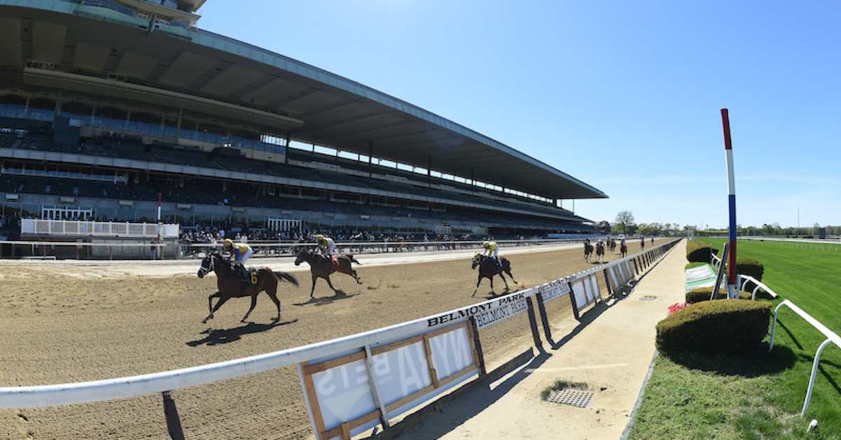 Newsday Report Highlights High Equine Fatality Rate In Belmont Park's