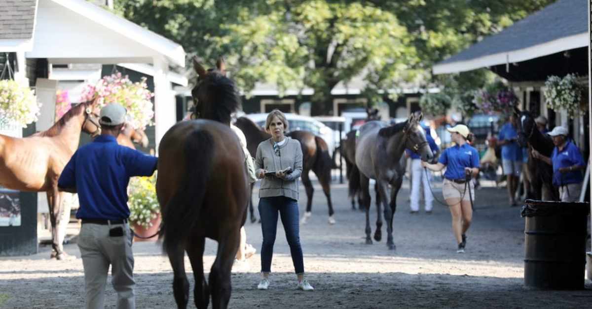 FasigTipton 2024 New YorkBred Yearling Sale Catalog Now Available